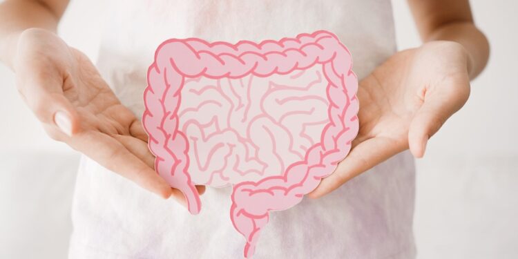 Gut Health Still Rules: Why Microbiome Matters More Than Ever