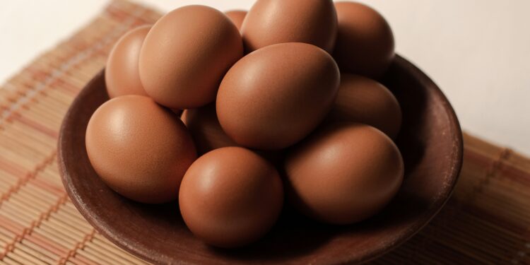 Vegan or Vegetarian? Here’s How to Hit Your Protein Goals Daily